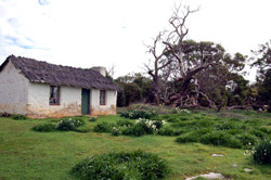 Mikkira Homestead